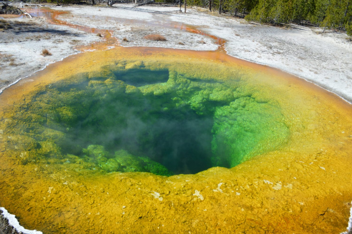 Ultimate things to see in Yellowstone National Park