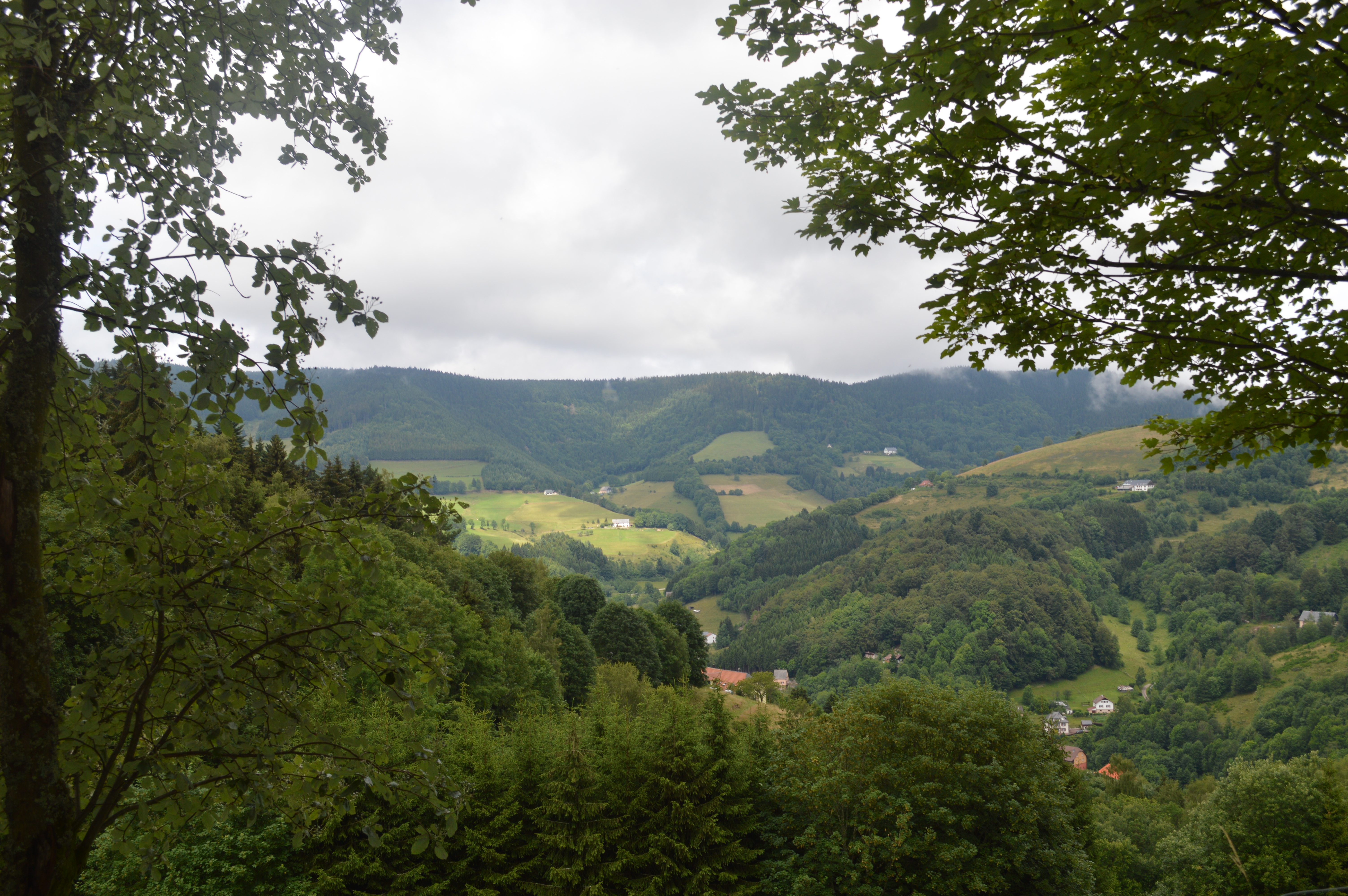 What to do in the Alsace region