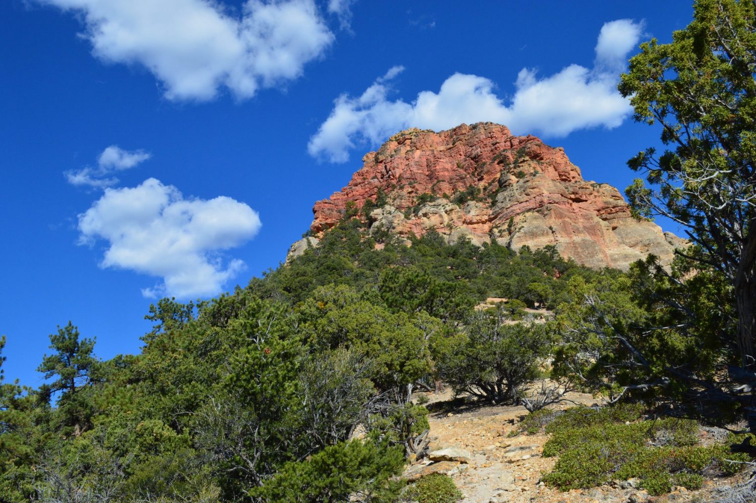 Hiking: Vermillion Castle Trail in Dixie National Forest, USA