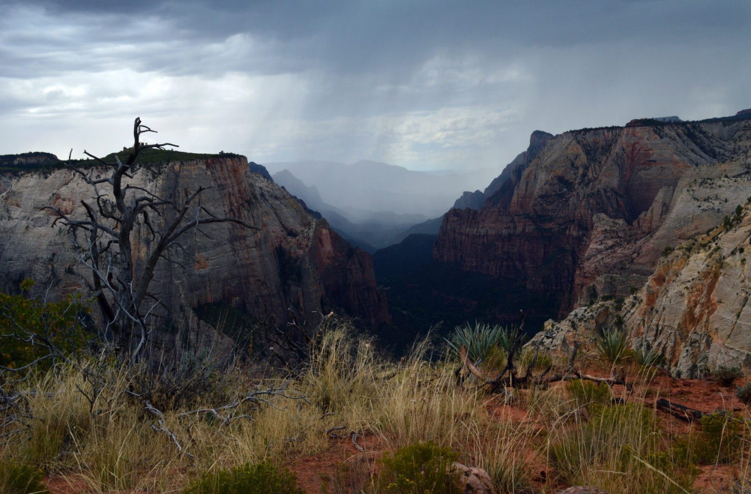 4 hikes you have to do in Zion National Park