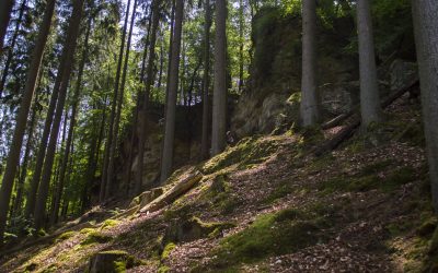 Hiking in Mullerthal, Luxembourg