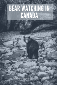 Bear watching in Canada