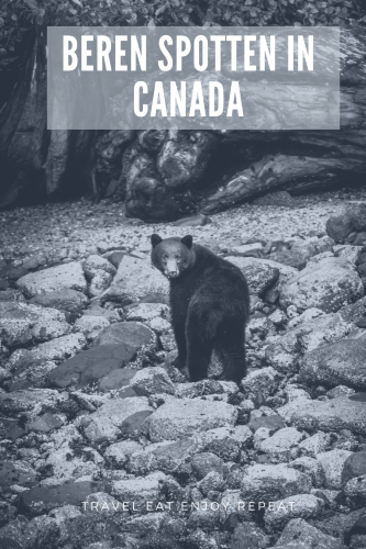 Beren spotten in Canada